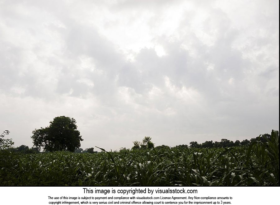 Absence ; Agriculture ; Beauty In Nature ; Cloud ;