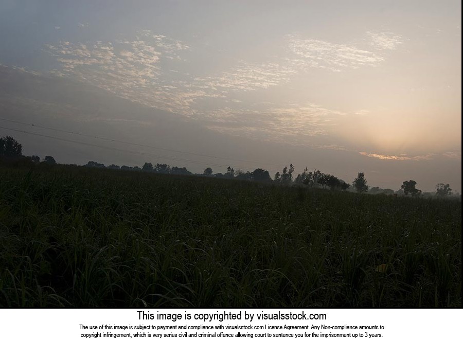 Absence ; Agriculture ; Beauty In Nature ; Cloud ;