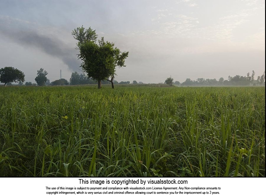 Absence ; Agriculture ; Beauty In Nature ; Cloud ;