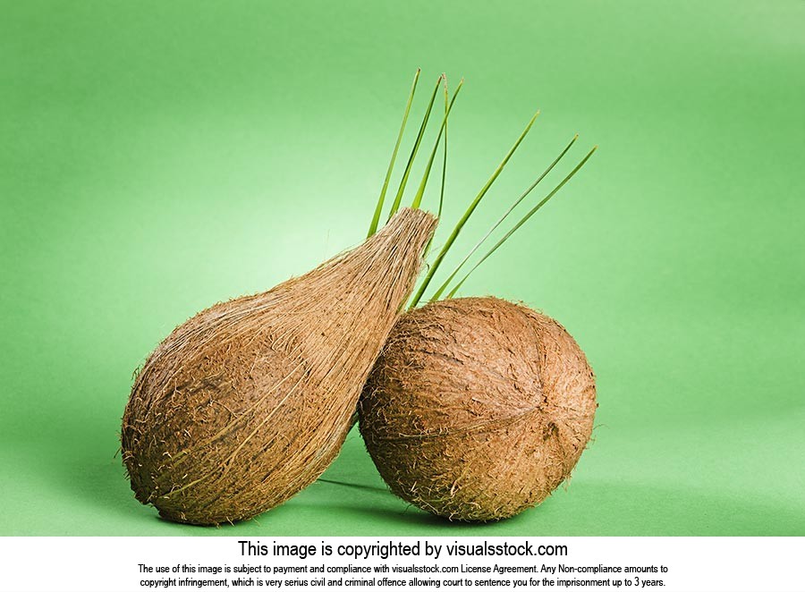 Close-Up ; Coconut ; Color Image ; Colored Backgro