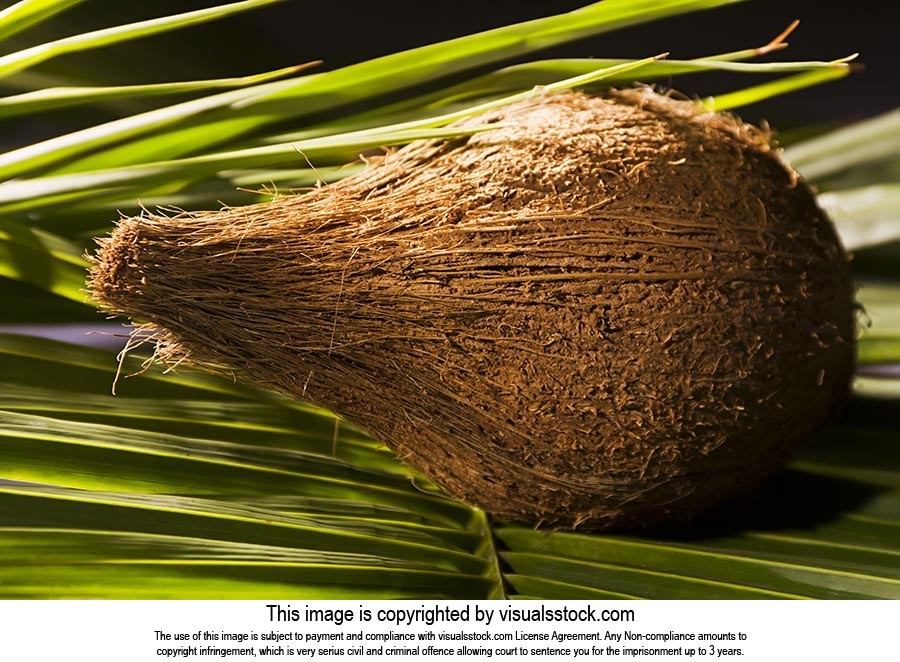 Background ; Close-Up ; Coconut ; Color Image ; Ex