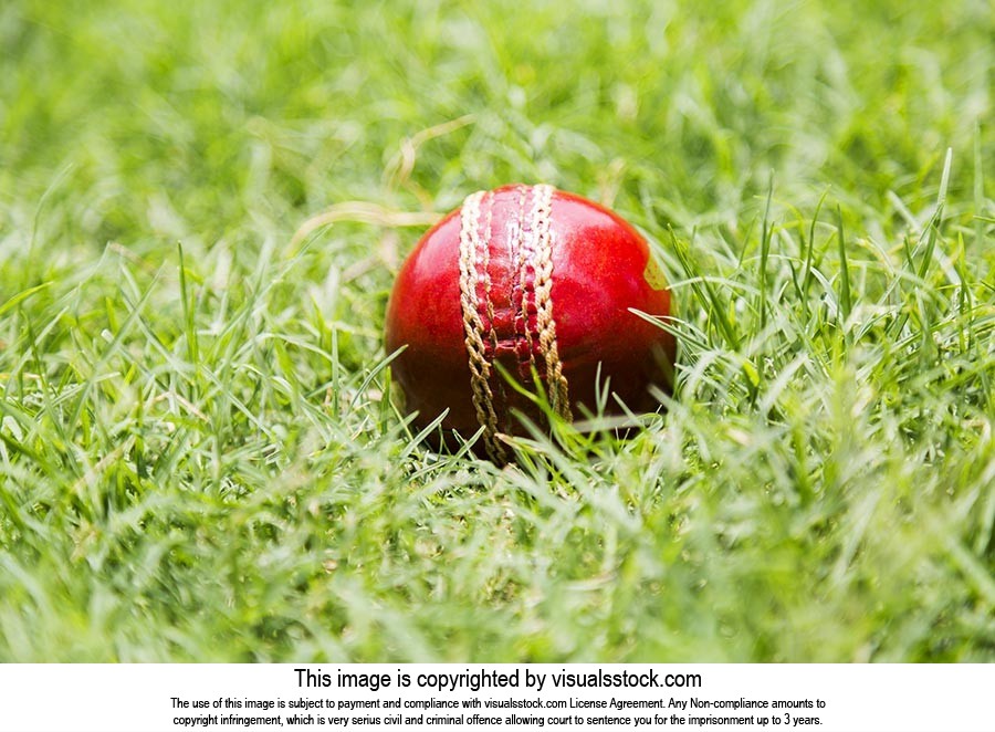 Background ; Ball ; Close-Up ; Color Image ; Creat