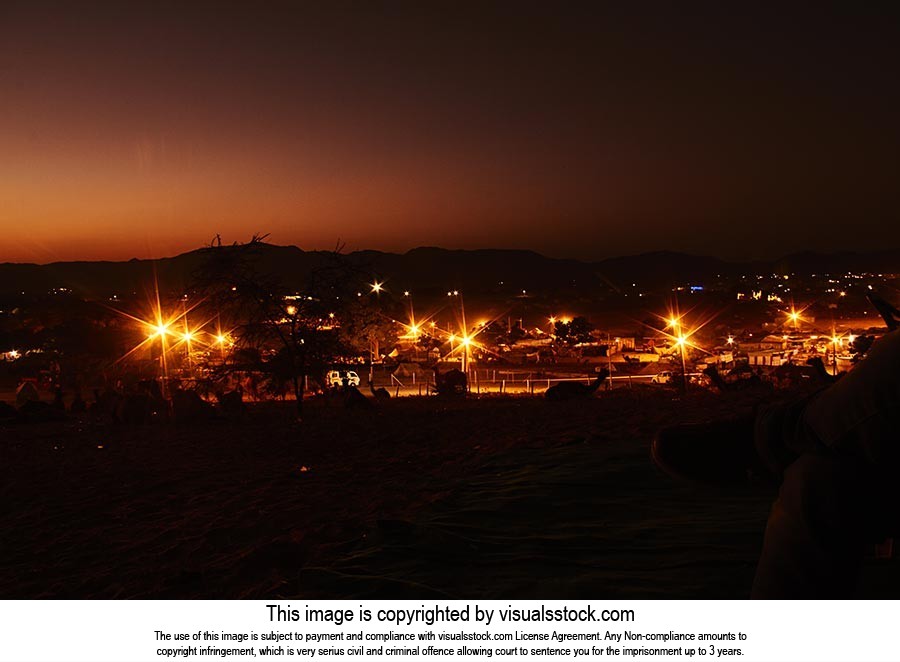 Ajmer ; Animals ; Camel ; Carnival ; Color Image ;