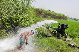 1 Person Only ; Agriculture ; Bathing ; Bending ; 