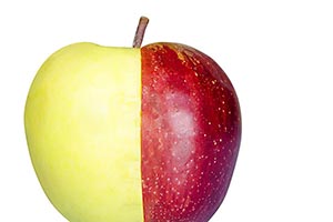 Apple ; Bizarre ; Bonding ; Close-Up ; Color Image