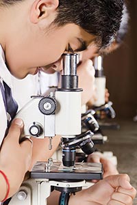 Boy Student Microscope Research