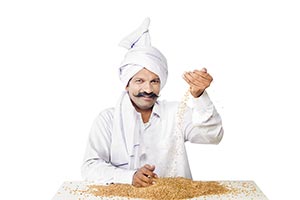 Indian Farmer Falling Wheat Grain
