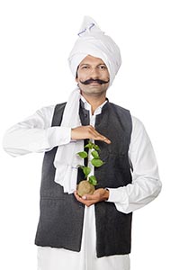 Farmer Man Safe Plant-life