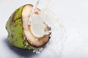 Breaking ; Close-Up ; Coconut ; Color Image ; Crea