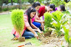 Group Of Friends Environmentalists planting in par