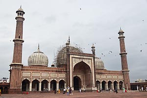 Ancient ; Arcade ; Arch ; Architecture ; Birds ; B